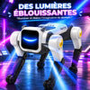 Robot interactif BuddyBot avec effets lumineux colorés et visage LED - Cocon d'Ange